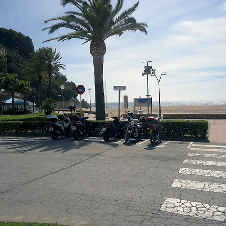 Sol Fenals - Only Family * Lloret de Mar